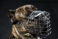 New Wire Dog Muzzle Cane Corso for Activities